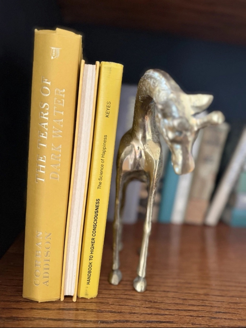 Yellow Book Set for Home Decor 💛